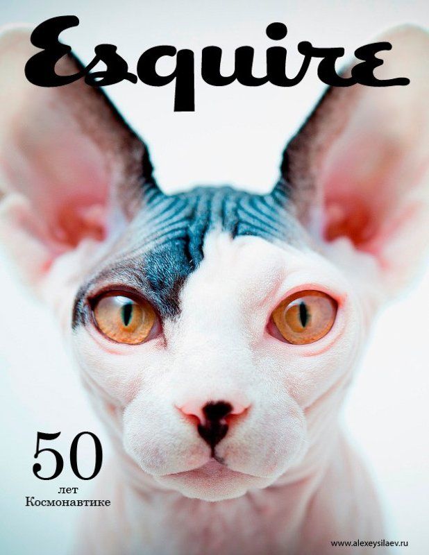 цифра, silaev, силаев 12.04.1961 фото превью