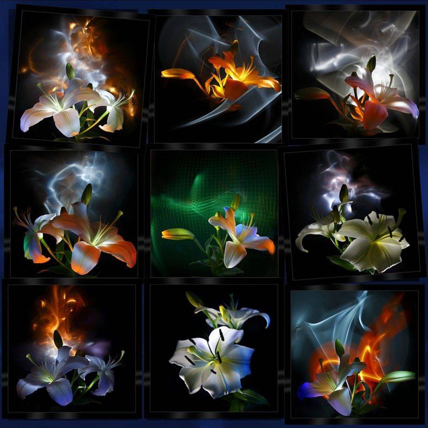 светографика, цветы, лилии, бутоны, динамический_свет, световые_сдвиги, натюрморт, HoryMa (ХориМа)