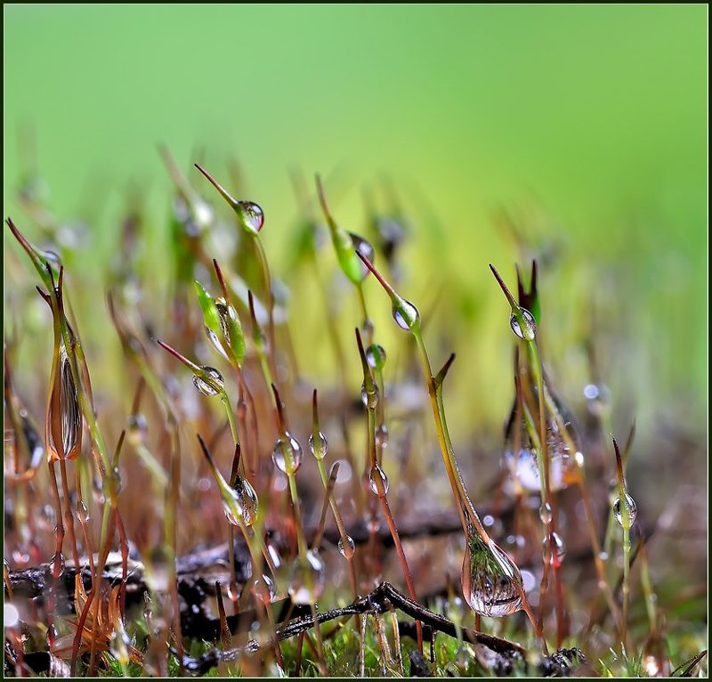 Молодежь фото превью