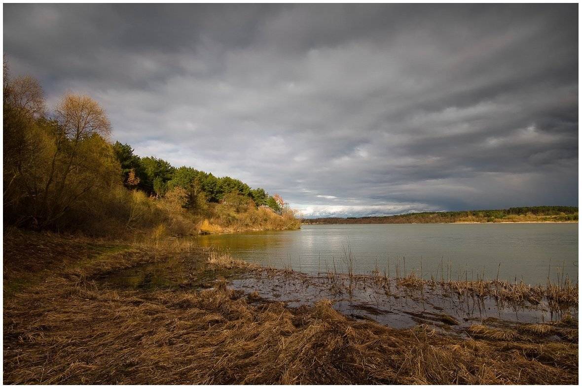 , Николай Шахманцир