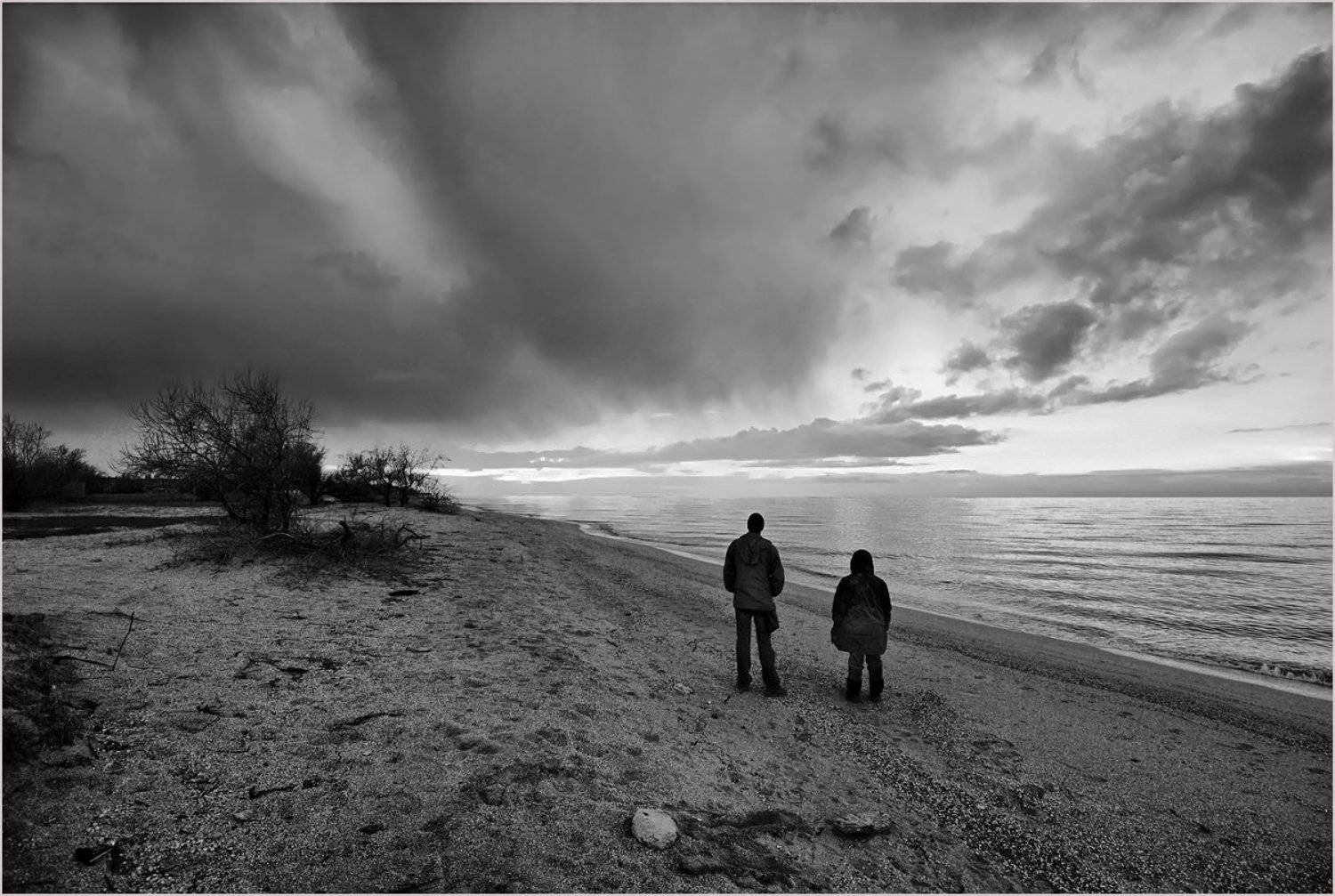 , Борис Пирог