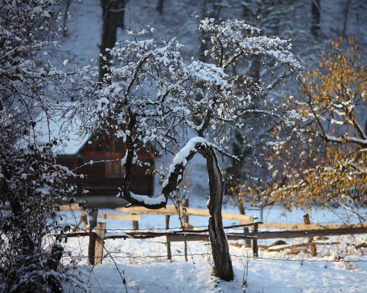 , Юрий Cазин