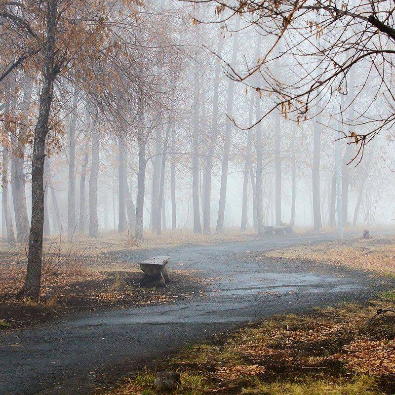 , Качурин Алексей