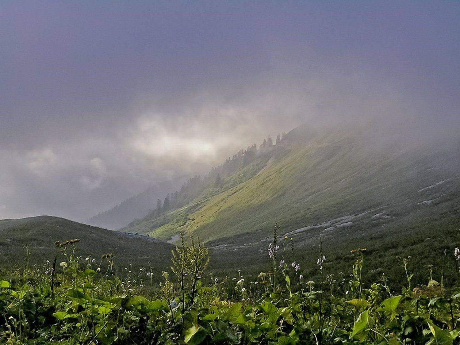 пейзаж, Tina Grach