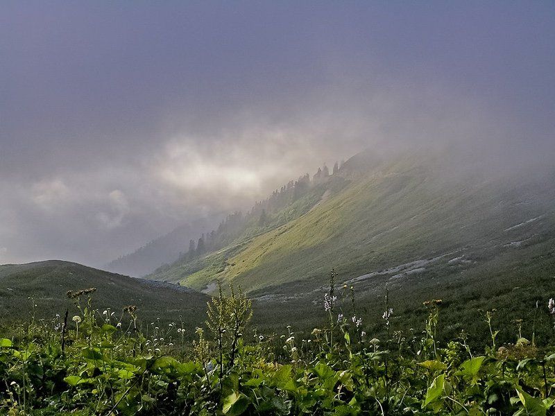 пейзаж *** фото превью