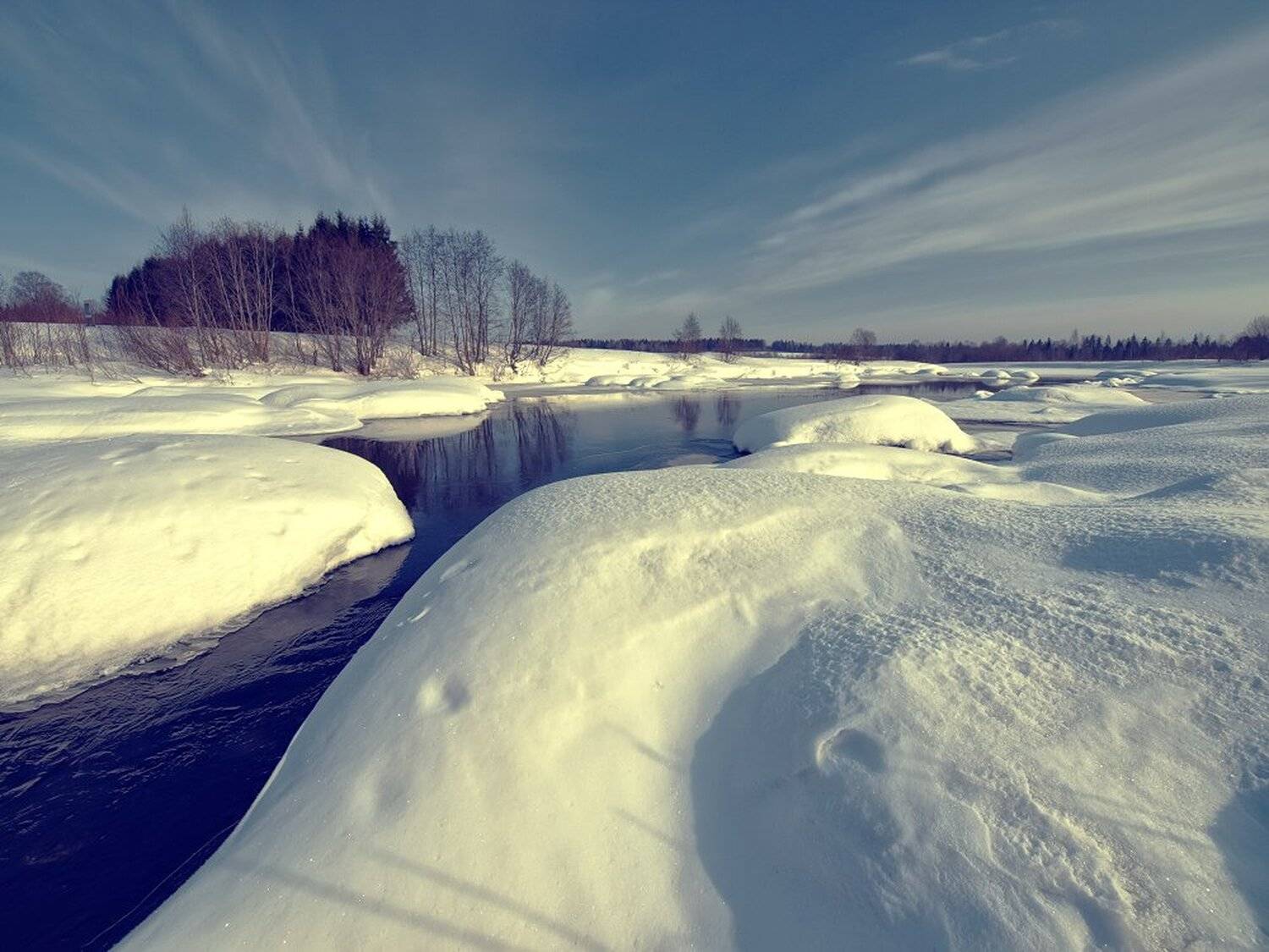 , Максим Евдокимов