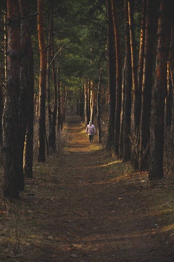 деревья,дорога,бабуля, Дeнис Бoдрoв