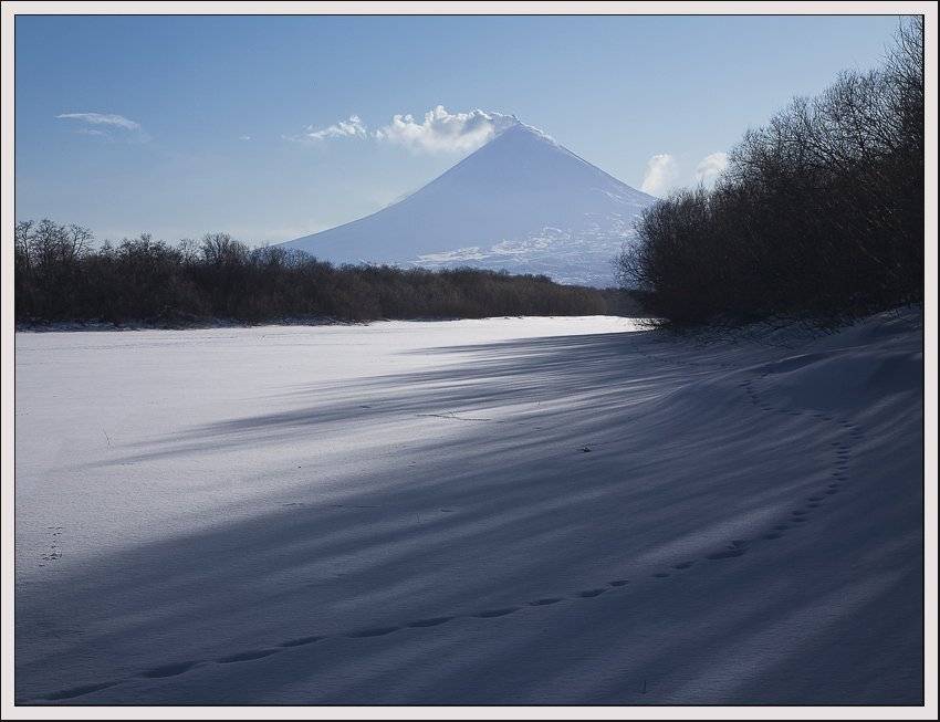 , Сергей Захаров.