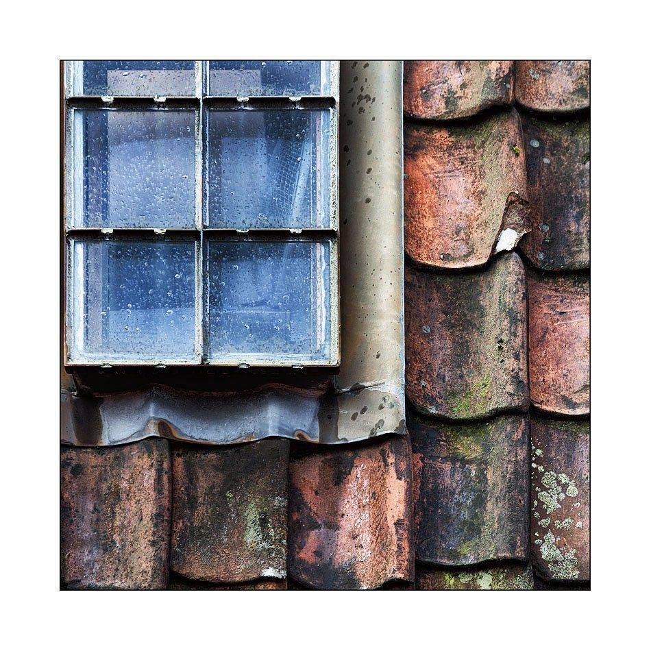 норвегия, берген, Лариса Гурьева