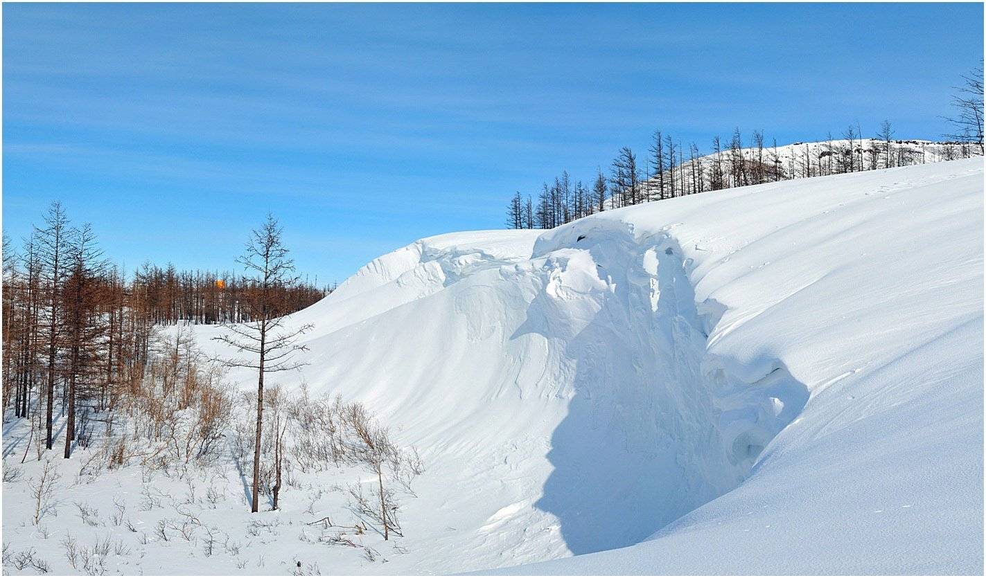 таймыр, Vladimir