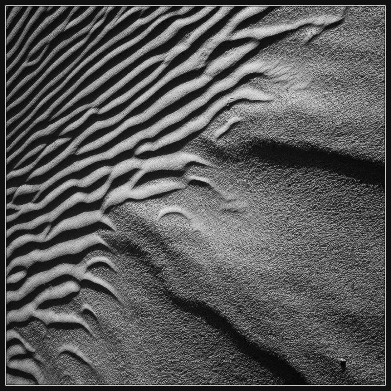 четыре вариации не сходя с места фото превью