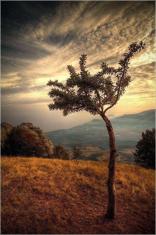 крым, демерджи *** фото превью