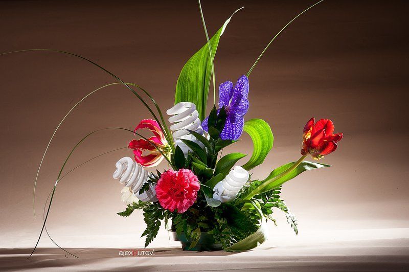 флористика, энергосберегающие лампы Энергосбережение фото превью