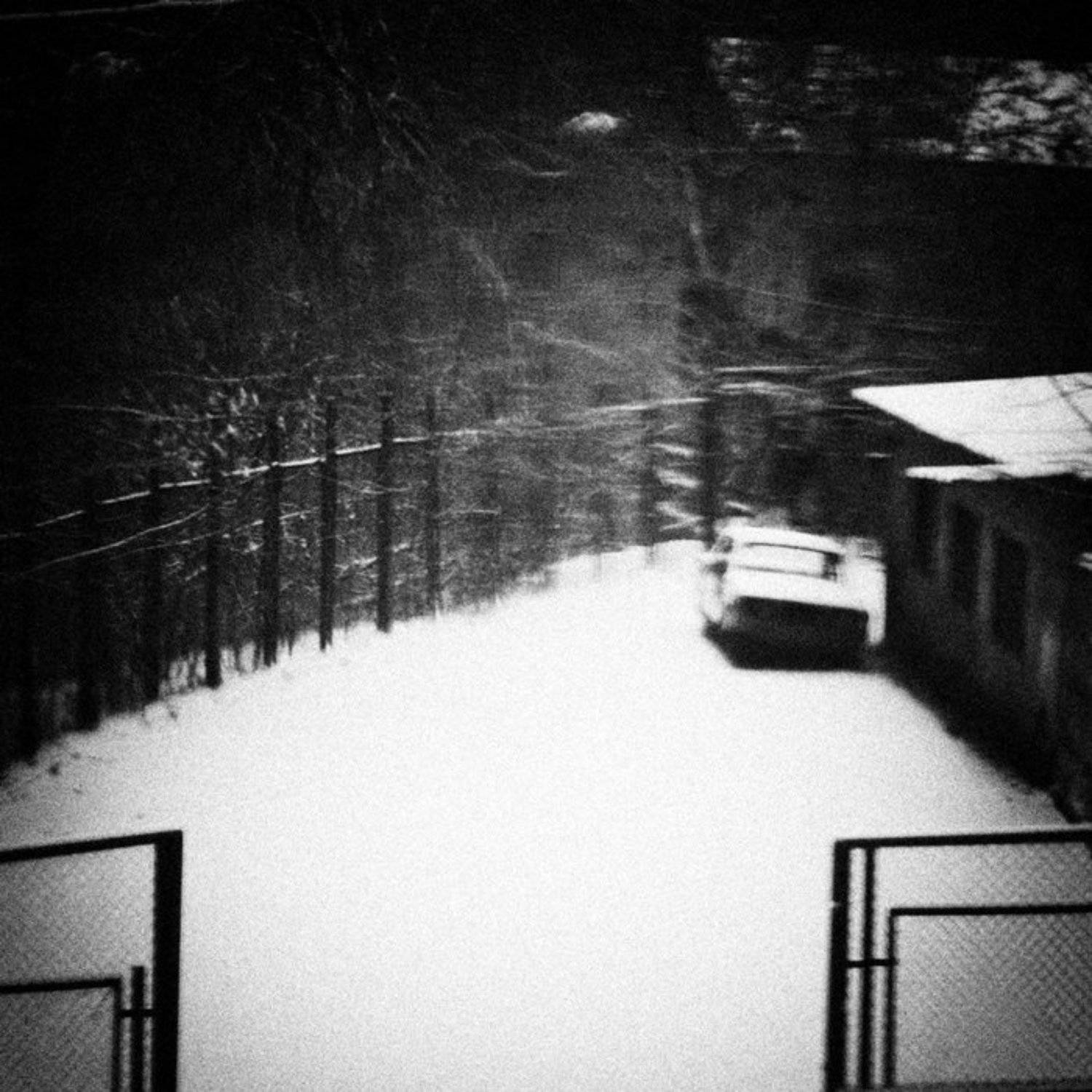 , Роман Чайка