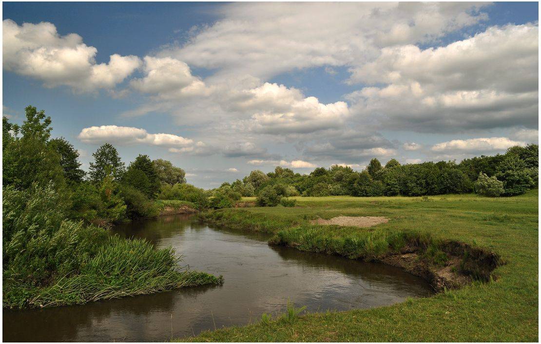 , Володимир Карчевський