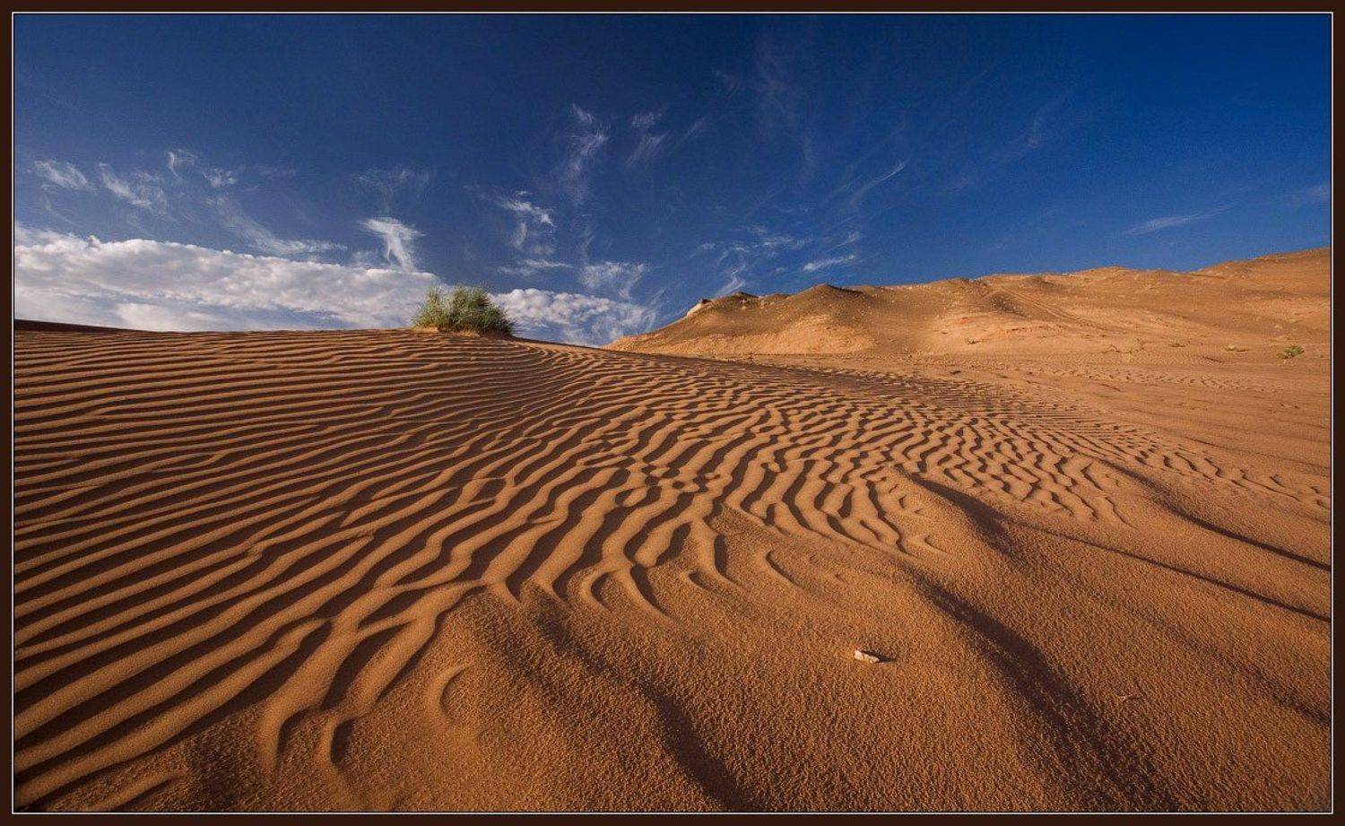 монголия, Бур