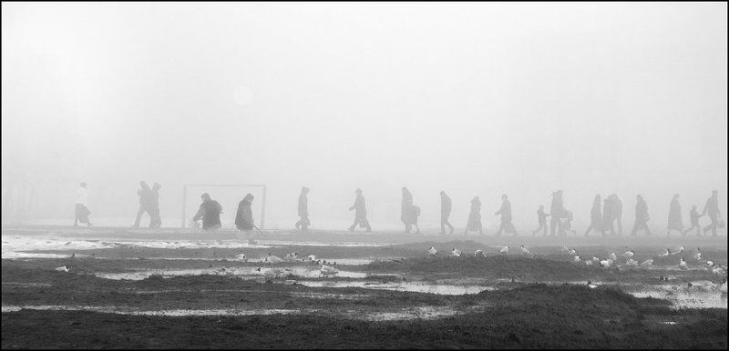 ... фото превью