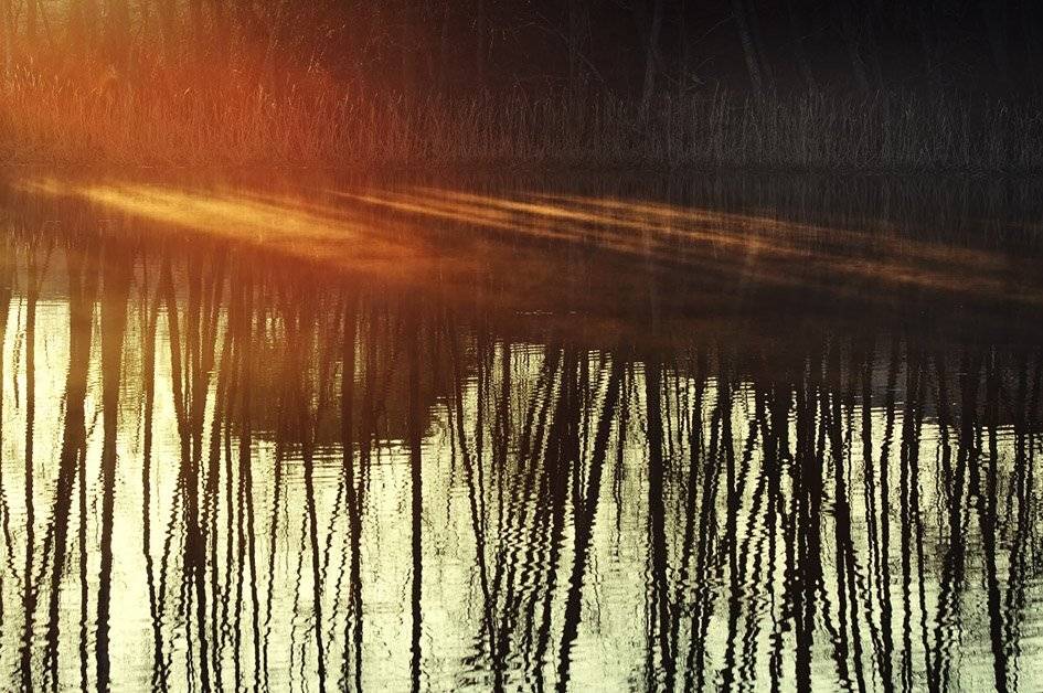 , Rimantas Bikulcius