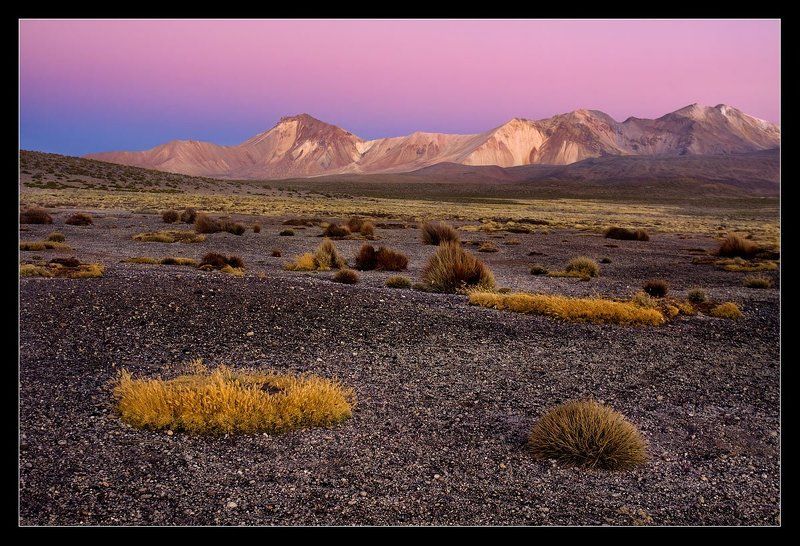 чили, альтиплано, горы, заря Ландшафт высокогорья.... фото превью
