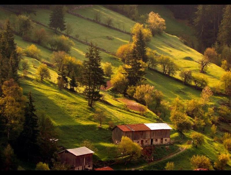 Rodopa mountain, Bulgaria фото превью