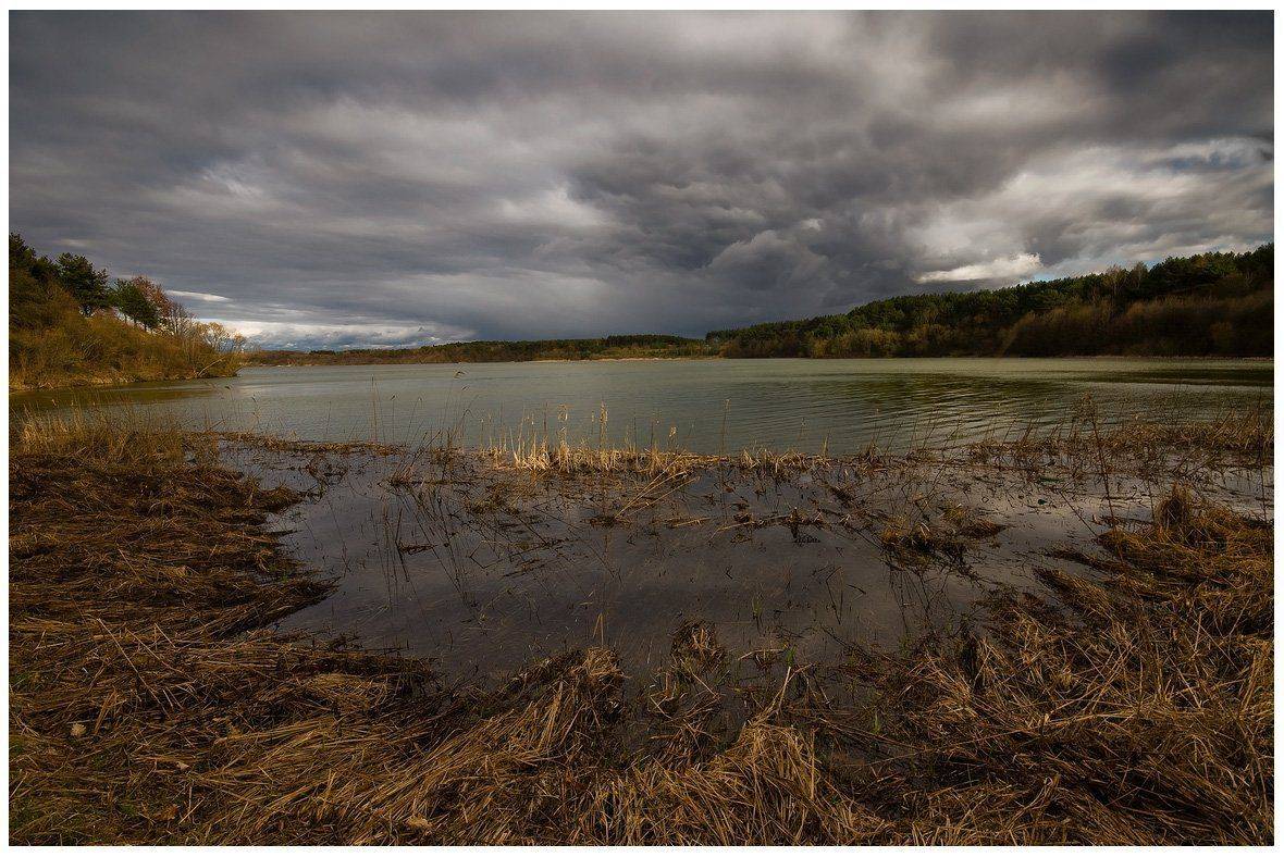 , Николай Шахманцир