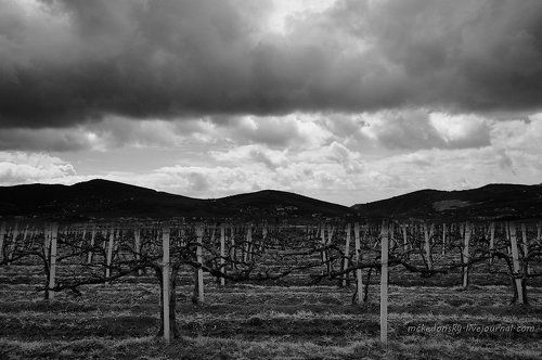 В Богатое ущелье..