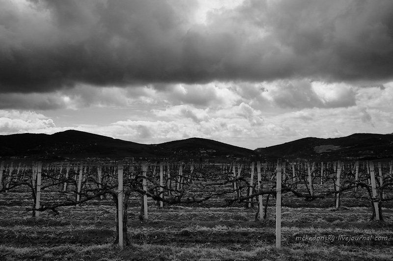 крым, богатое ущелье, пейзаж, облака, водопад, ч\\\\б В Богатое ущелье.. фото превью