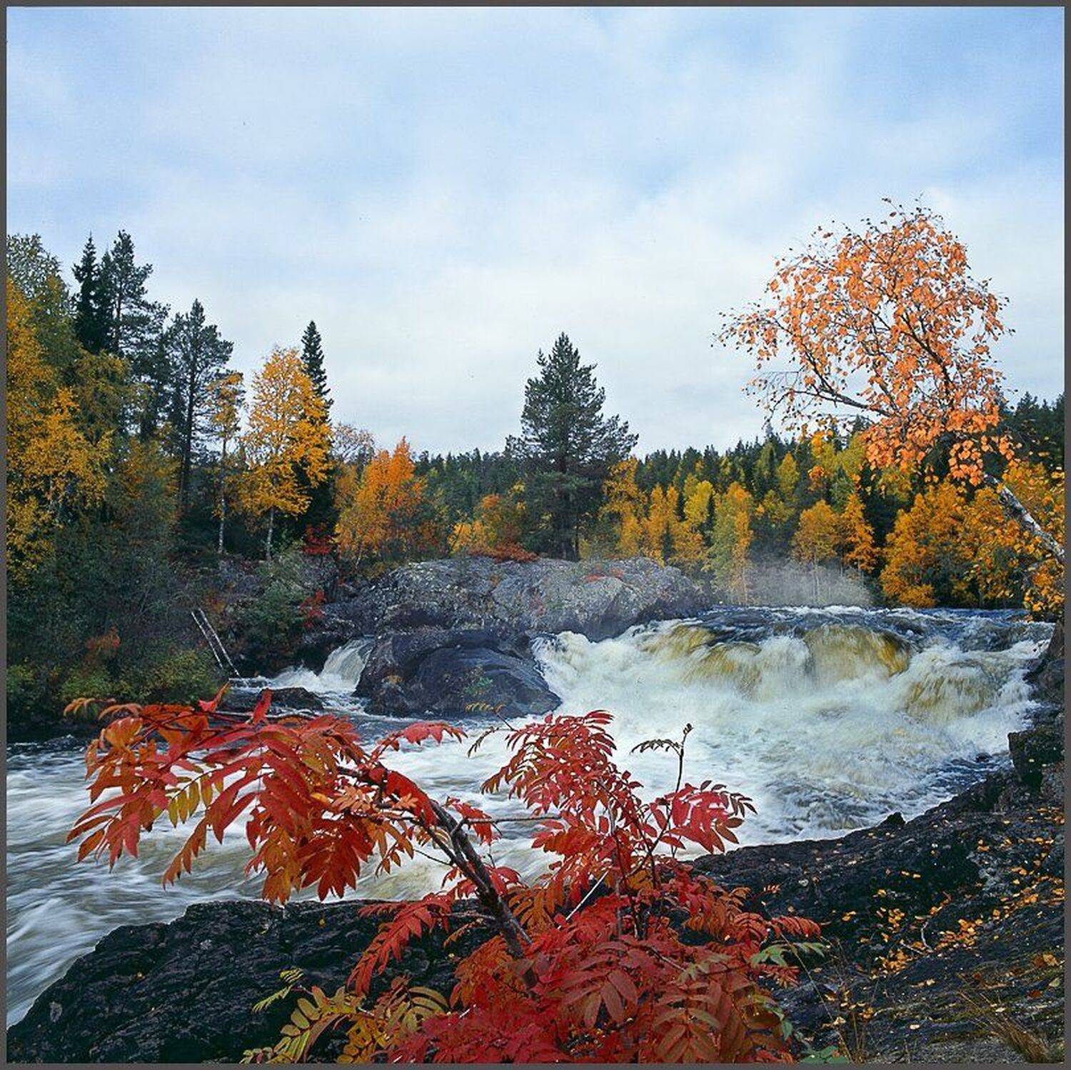 , Сергей Захаров.