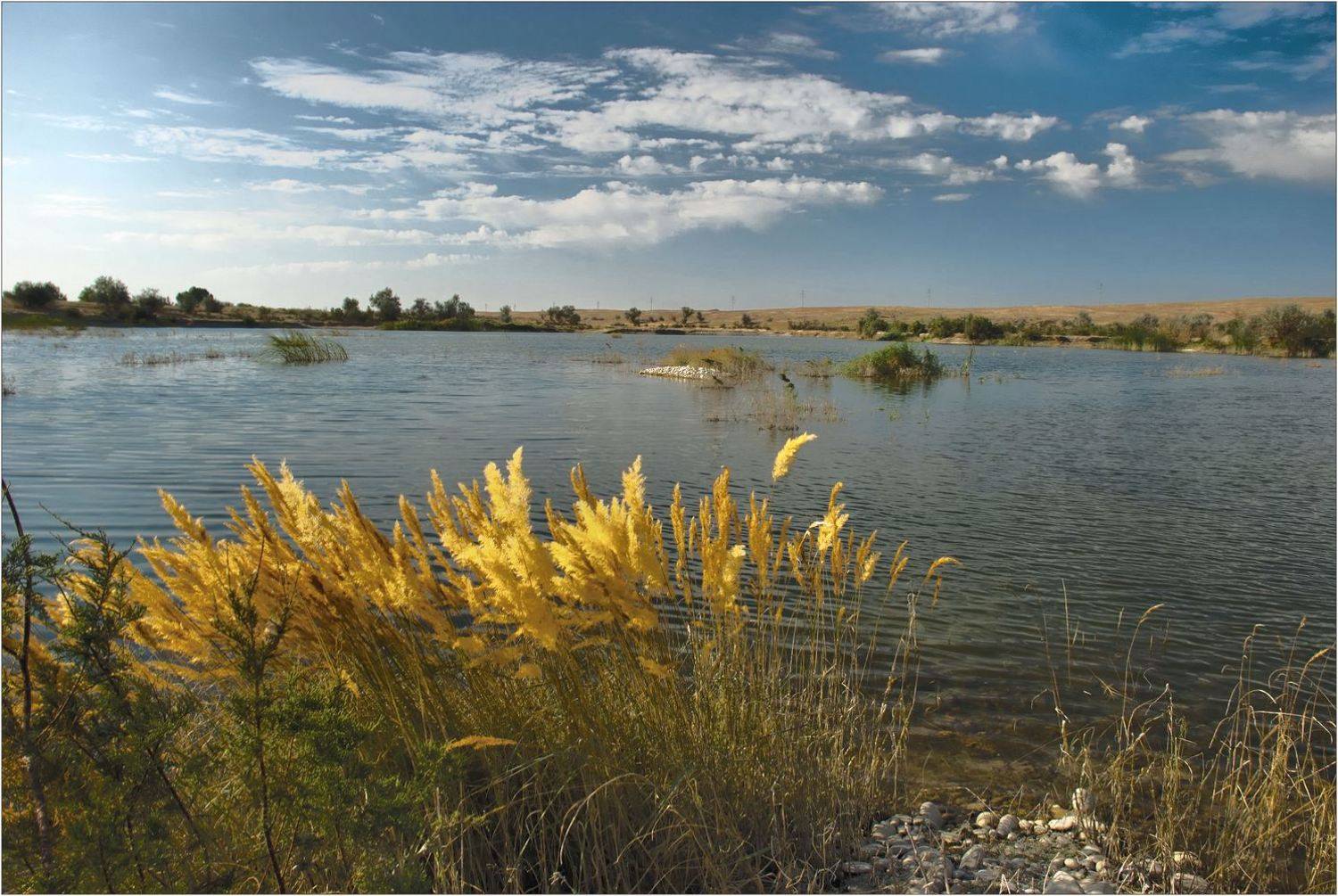 природа, Геннадий Меремьянин