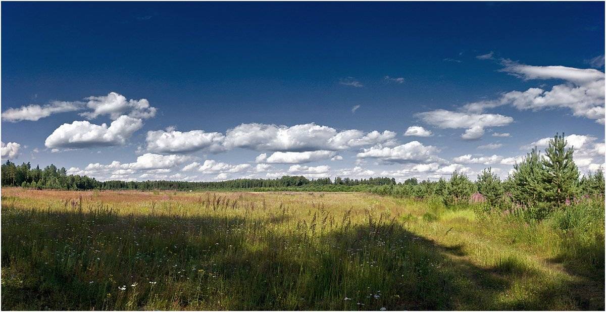 , Андрей Куликов