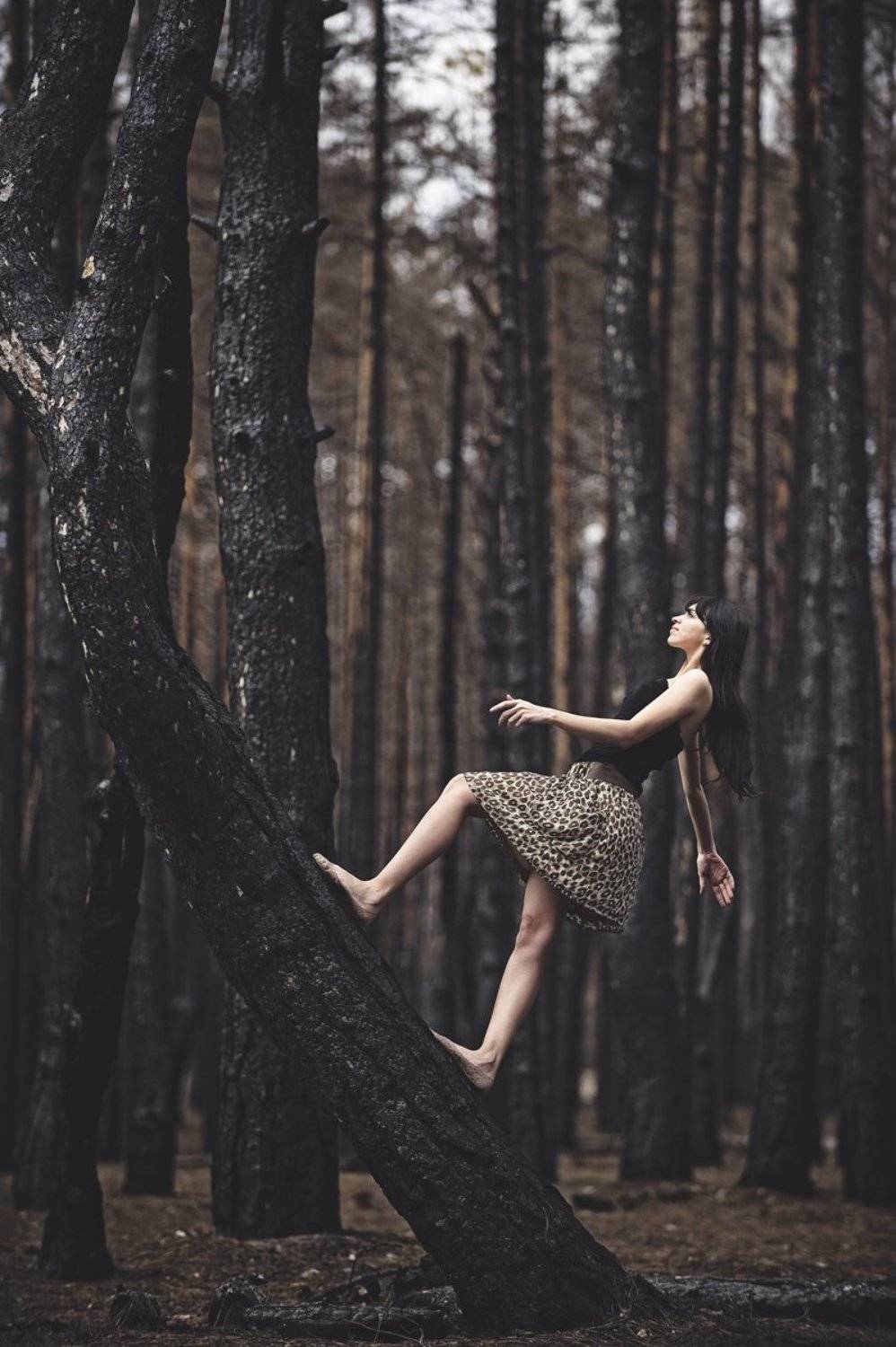 , Владислав