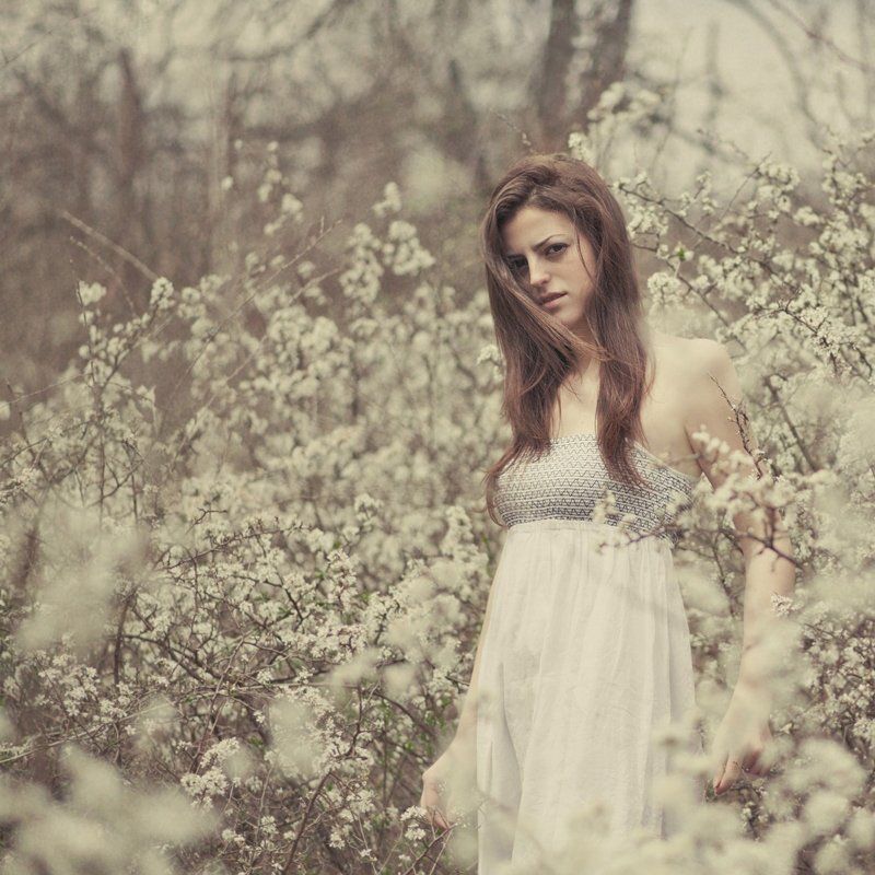 ........ фото превью