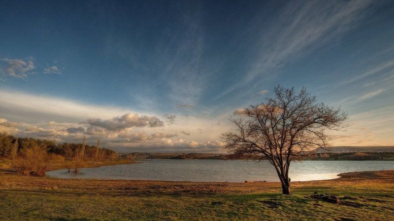 После дождя фото превью