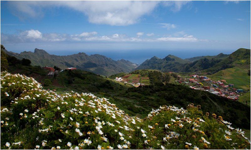 В ромашковых горах фото превью