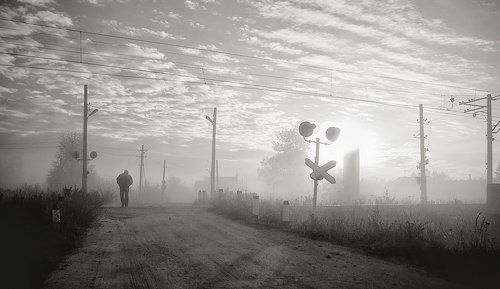 Кто рано встаёт...