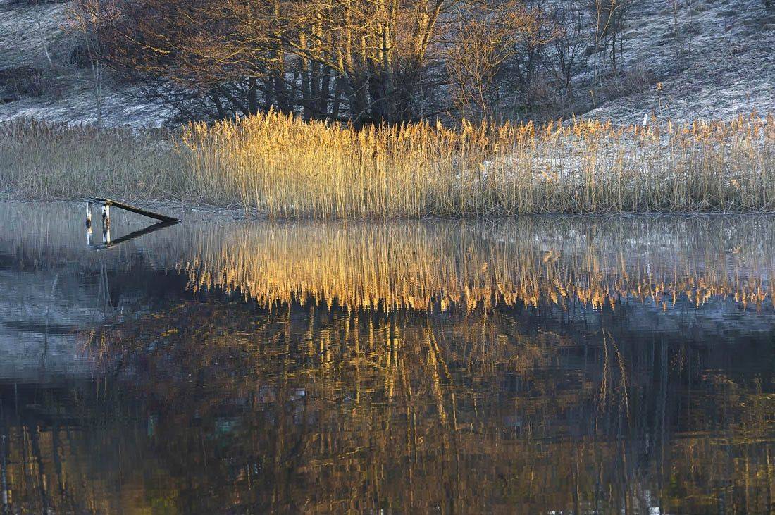 , Rimantas Bikulcius