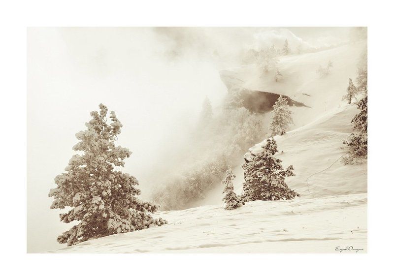 крым, таракташ *** фото превью