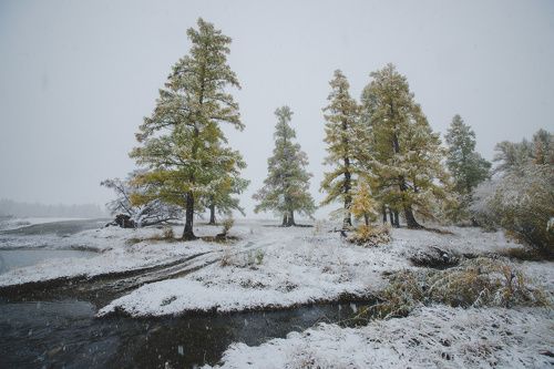 Алтайский минимализм