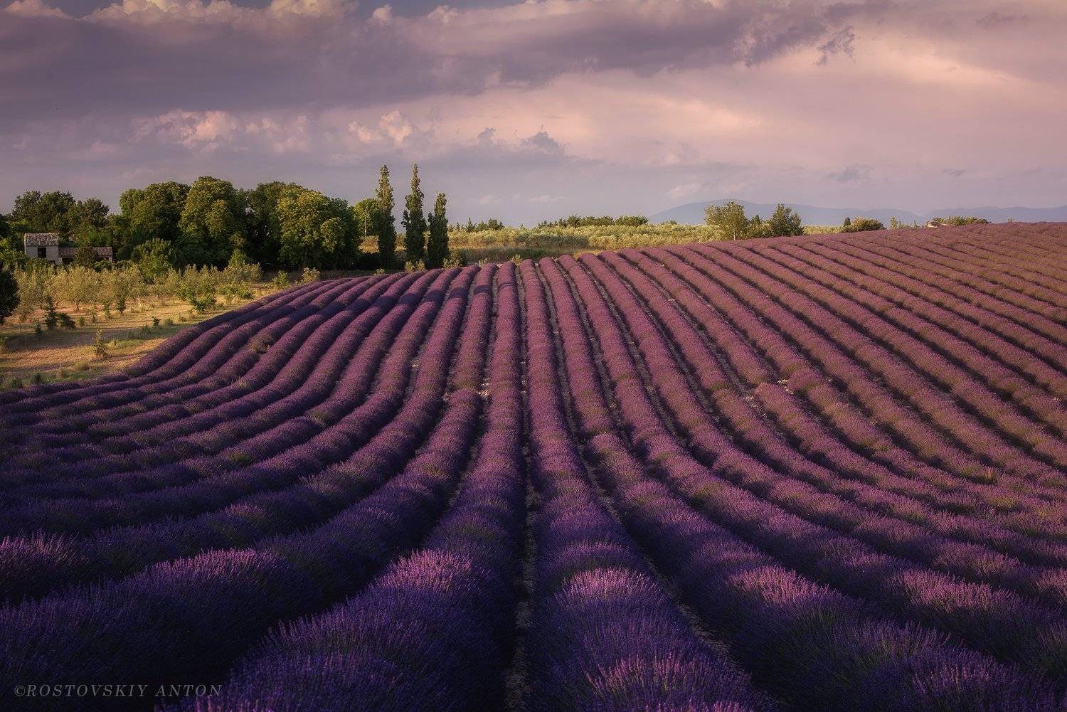 Фототур, Прованс, Франция, лаванда, поле, фотопутешествие, , Антон Ростовский