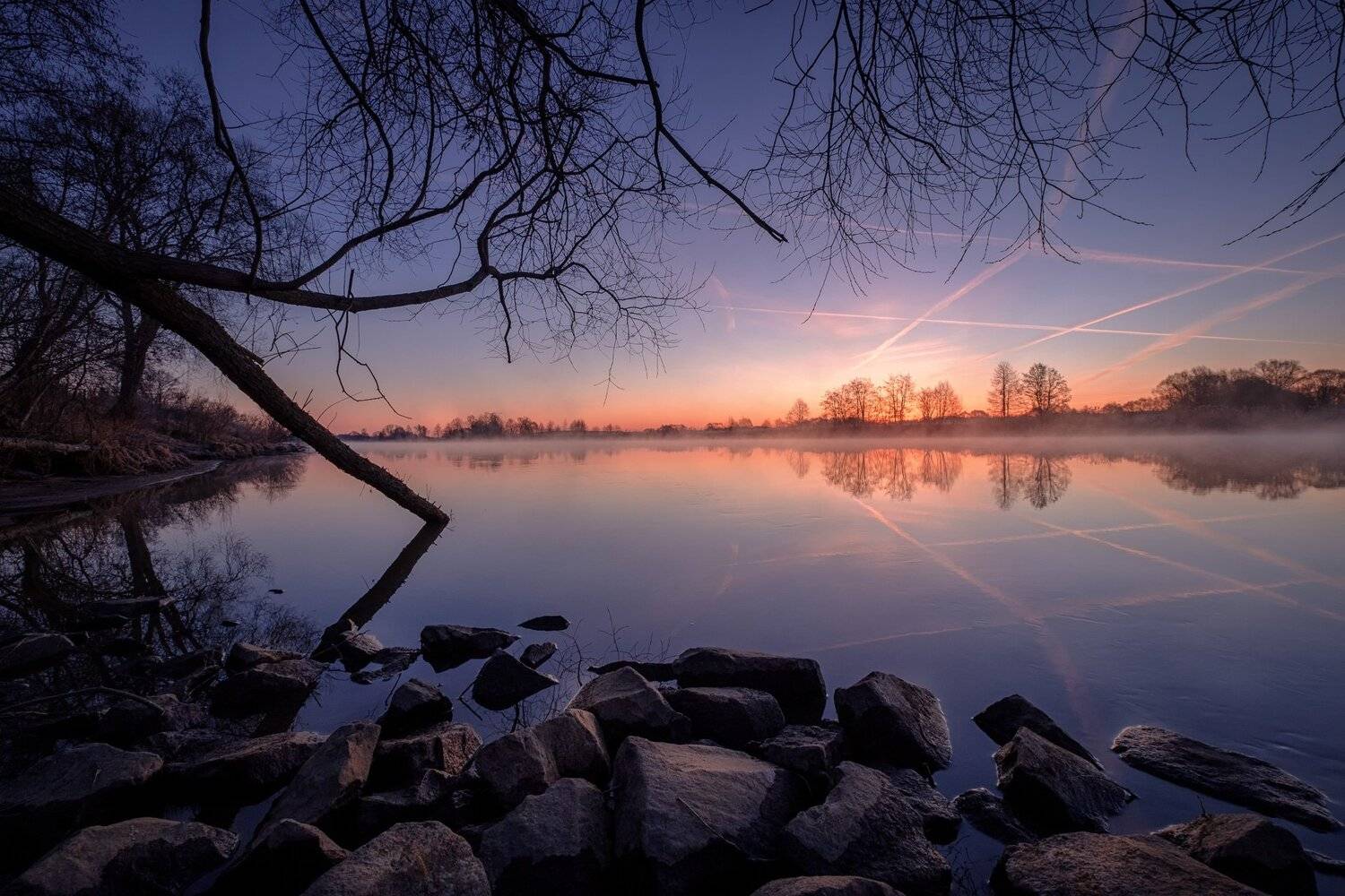 пейзаж, дубна, весна, апрель, разлив, рассвет, утро, дерево, река, туман, путешествие, Андрей Чиж