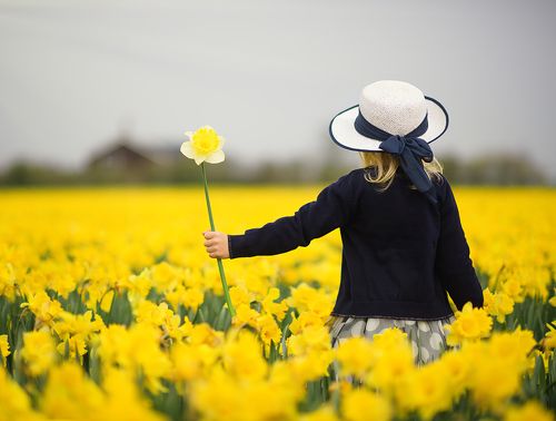 Spring