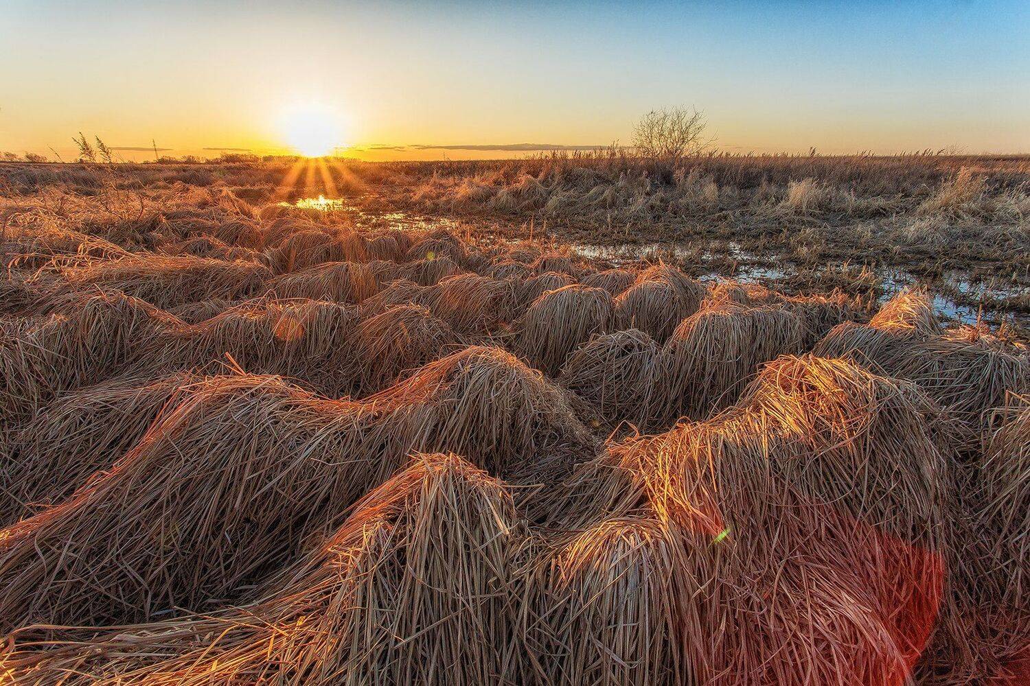 , Павел Сагайдак