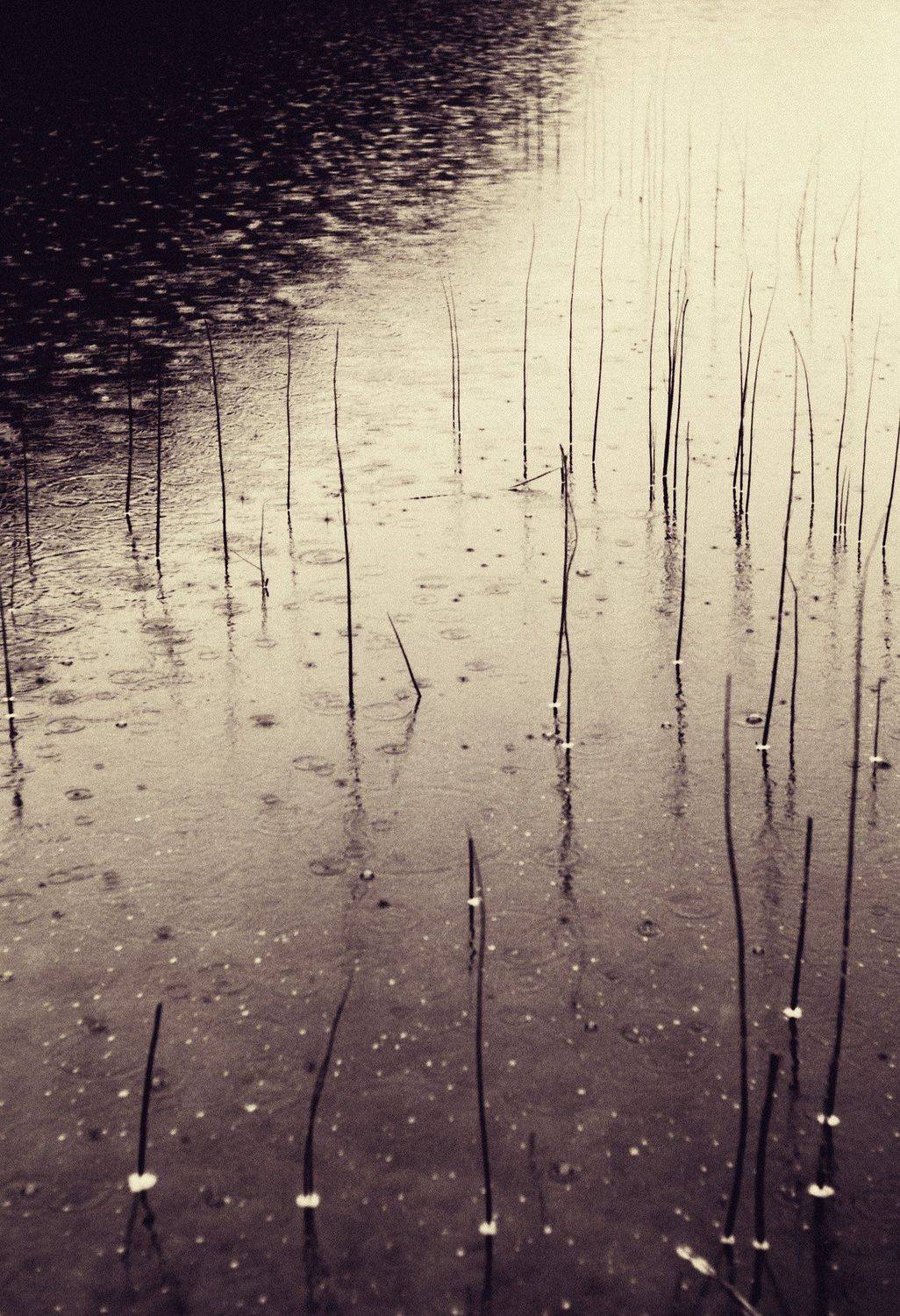 Photo, photo studio, photo travel, photo nature, woomen, Juris Zēbergs