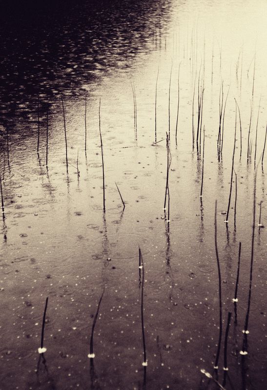 Photo, photo studio, photo travel, photo nature, woomen Texture фото превью