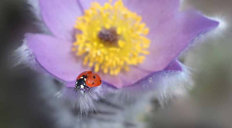 Готовимся в полёт! фото превью