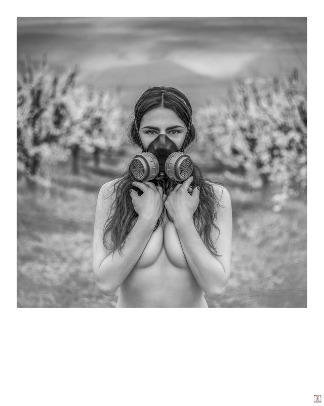 *** *** фото превью