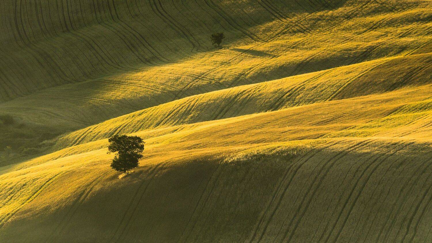 тоскана, Исаков Дмитрий