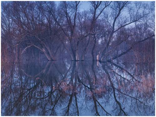 Весенний разлив