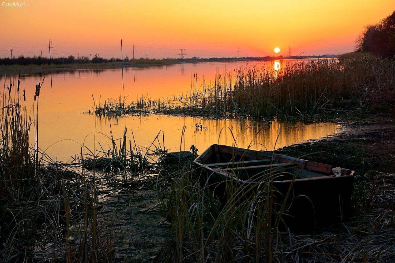 пейзаж,закат,взгляд,природа,весна,, Марина Соколова