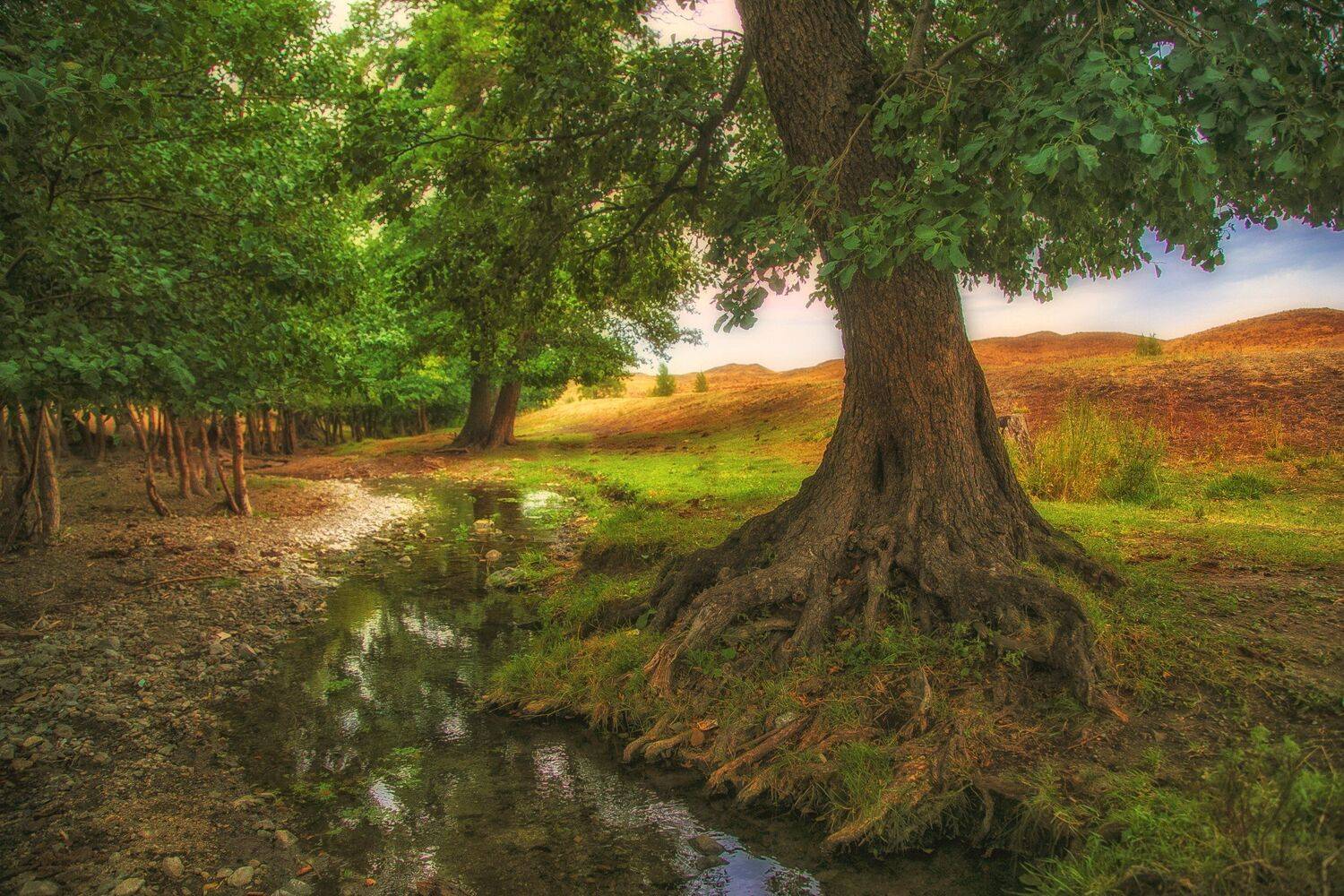 , Павел Сагайдак